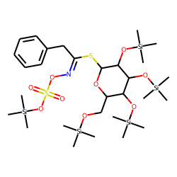benzyl glucosinolate, TMS