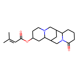13«alpha»-Tigloyloxylupanine
