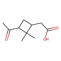 cis-DL-Pinonic acid