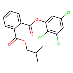 Phthalic acid, isobutyl 2,3,5-trichlorophenyl ester