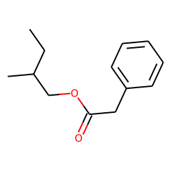 Phenylacetic acid, 2-methylbutyl ester