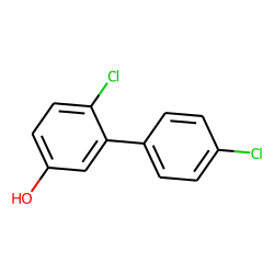 1,1'-Biphenyl-3-ol, 4',6-dichloro