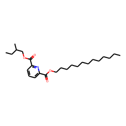 2,6-Pyridinedicarboxylic acid, 2-methylbutyl tridecyl ester