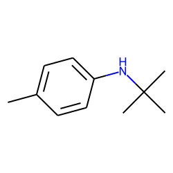 Aniline, 4-methyl-n-tert-butyl-