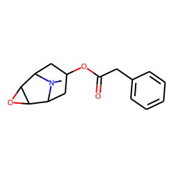 Phenylacetylscopine