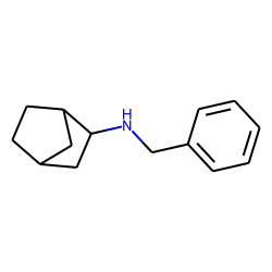 2-Norbornanamine, n-benzyl-