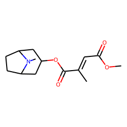 3«alpha»-Methylmesaconyloxytropane