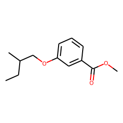 Benzoic acid, 3-(2-methylbutyl)oxy-, methyl ester