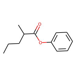 2-Methylvaleric acid, phenyl ester