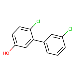 1,1'-Biphenyl-3-ol, 3',6-dichloro