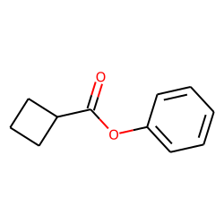 Cyclobutanecarboxylic acid, phenyl ester