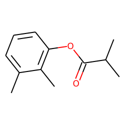 Isobutyric acid, 2,3-dimethylphenyl ester