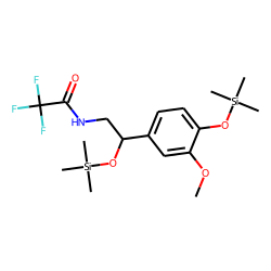 Normethanephrine, N-TFA-O-TMS