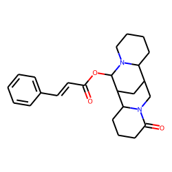 cis-13-Cinnamoyloxylupanine