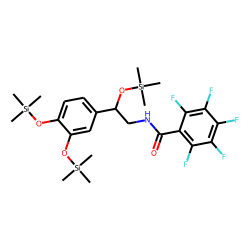 Norepinephrine, PFB-TMS