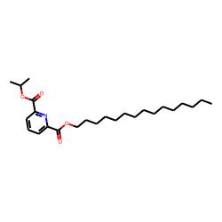 2,6-Pyridinedicarboxylic acid, isopropyl pentadecyl ester