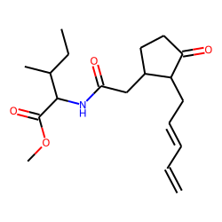 Dehydrojasmonic acid, Ile conjugate, methyl ester