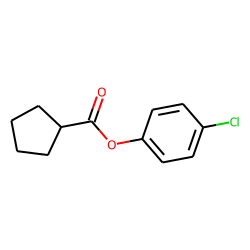 Cyclopentanecarboxylic acid, 4-chlorophenyl ester