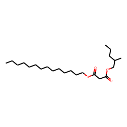 Malonic acid, 2-methylpentyl tetradecyl ester
