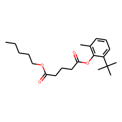 Glutaric acid, pentyl 2-tert-butyl-6-methylphenyl ester