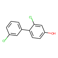 1,1'-Biphenyl-4-ol, 2,3'-dichloro