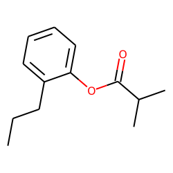 Isobutyric acid, 2-propylphenyl ester