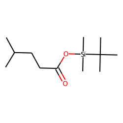4-Methylvaleric acid, tert-butyldimethylsilyl ester