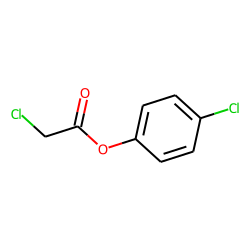 Chloroacetic acid, 4-chlorophenyl ester