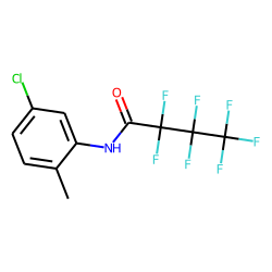 N-(5-Chloro-2-methyl-phenyl)-2,2,3,3,4,4,4-heptafluorobutanamide