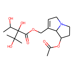 acetylintermedine