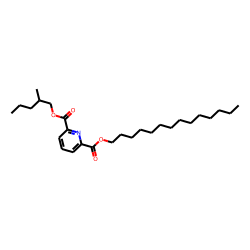 2,6-Pyridinedicarboxylic acid, 2-methylpentyl tetradecyl ester