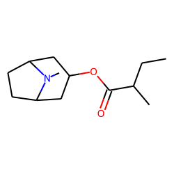 3«alpha»-(2-Methylbutyroxy)tropane