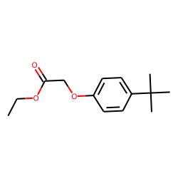 Ethyl (4-tert-butylphenoxy)acetate