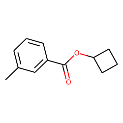 m-Toluic acid, cyclobutyl ester