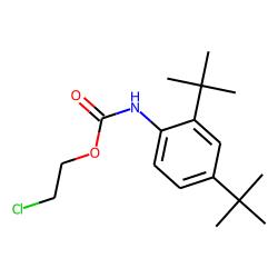 Carbanilic acid, 2,4-di-tert-butyl-, 2-chloroethyl ester
