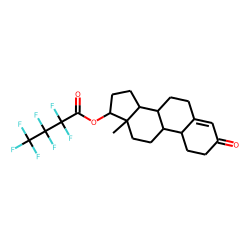 Nortestosterone, HFB