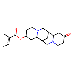 13-Tigloyloxymultiflorine