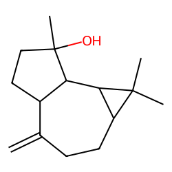 Isospathulenol