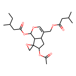 Homodihydroisovaltrate