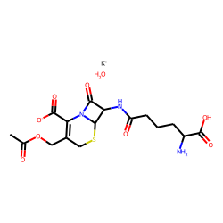 Cephalosporin c, potassium salt, monohydrate