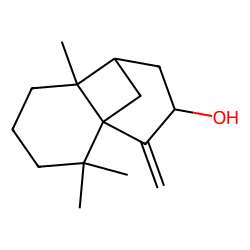 LONGIPINOCARVEOL, TRANS-