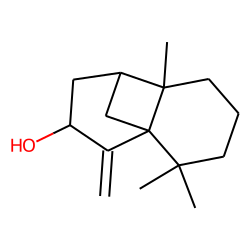 Longipinocarveol, trans-