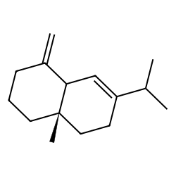sibirene