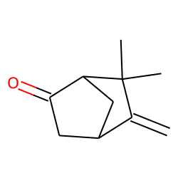 6-Camphenone