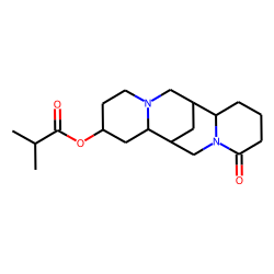 13-Isobutyryloxylupanine