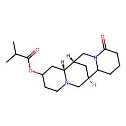 13-isobutyryloxylupanine