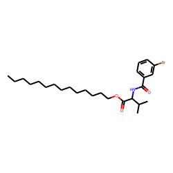 L-Valine, N-(3-bromobenzoyl)-, tetradecyl ester