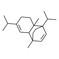 Dimer of «alpha»-phellandrene 2
