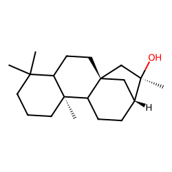 phyllocladanol