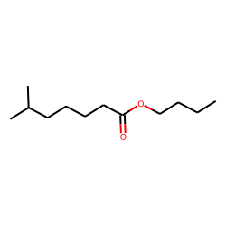 Butyl 6-methylheptanoate